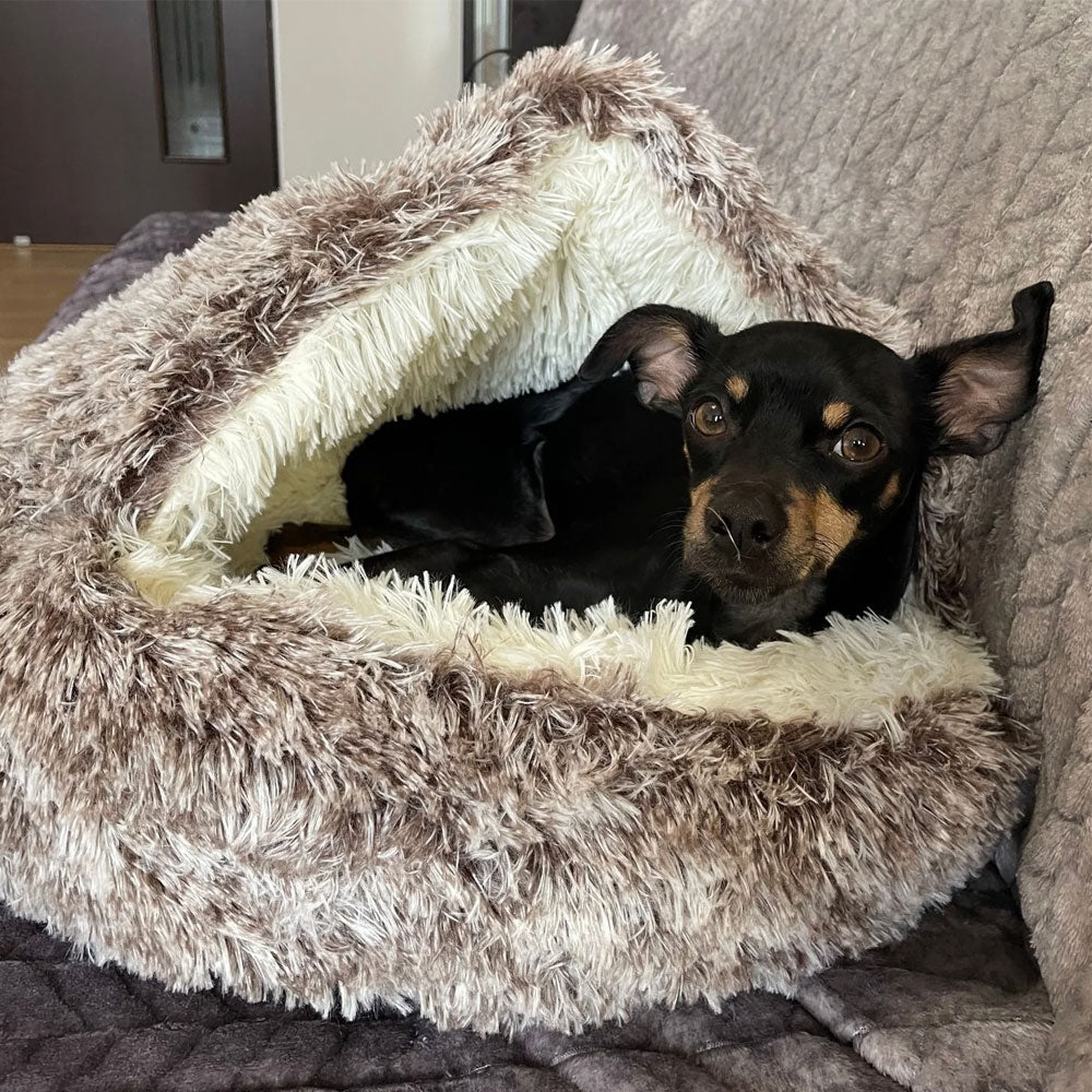 Cama para mascotas | Cama premium para mascotas para comodidad, seguridad y relajación