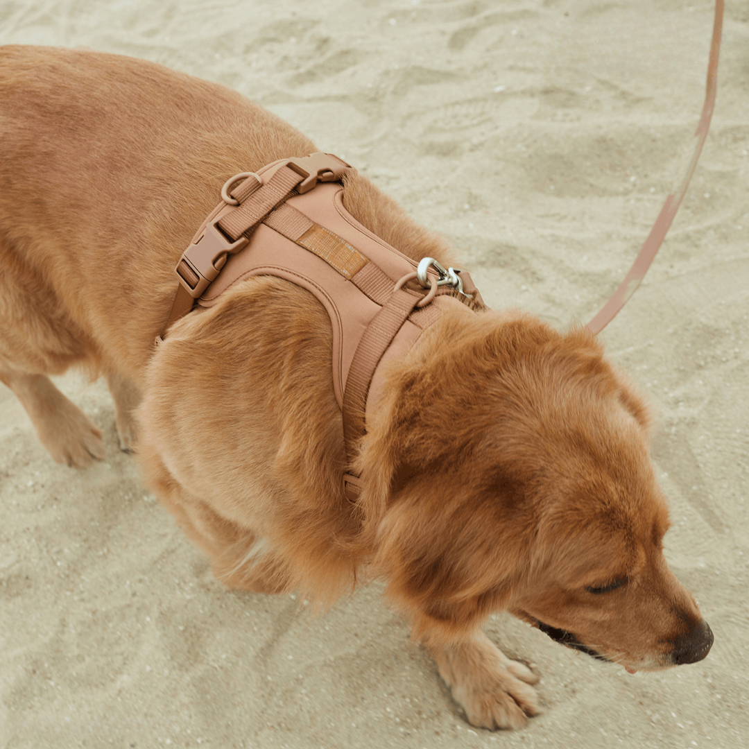 Melzano Dog Harness | Harness Walking Set (Including Leash and Poop Bag Holder)