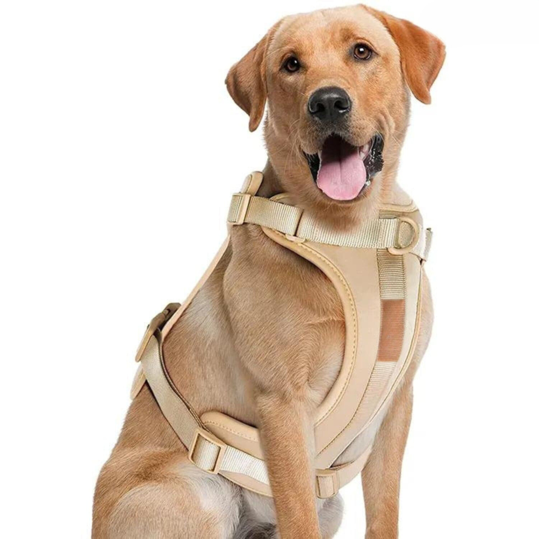 Melzano Dog Harness | Harness Walking Set (Including Leash and Poop Bag Holder)
