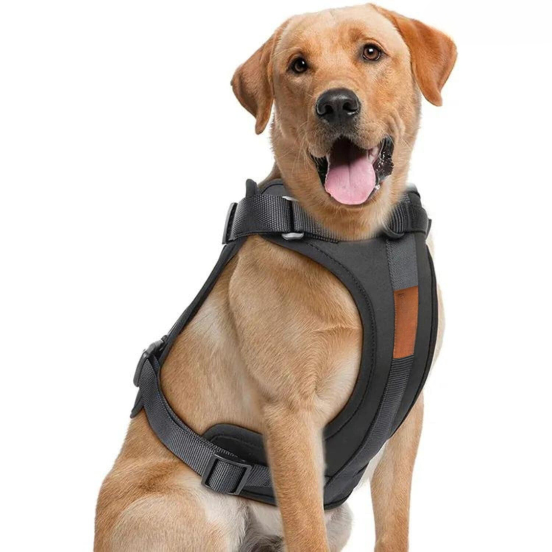 Melzano Dog Harness | Harness Walking Set (Including Leash and Poop Bag Holder)