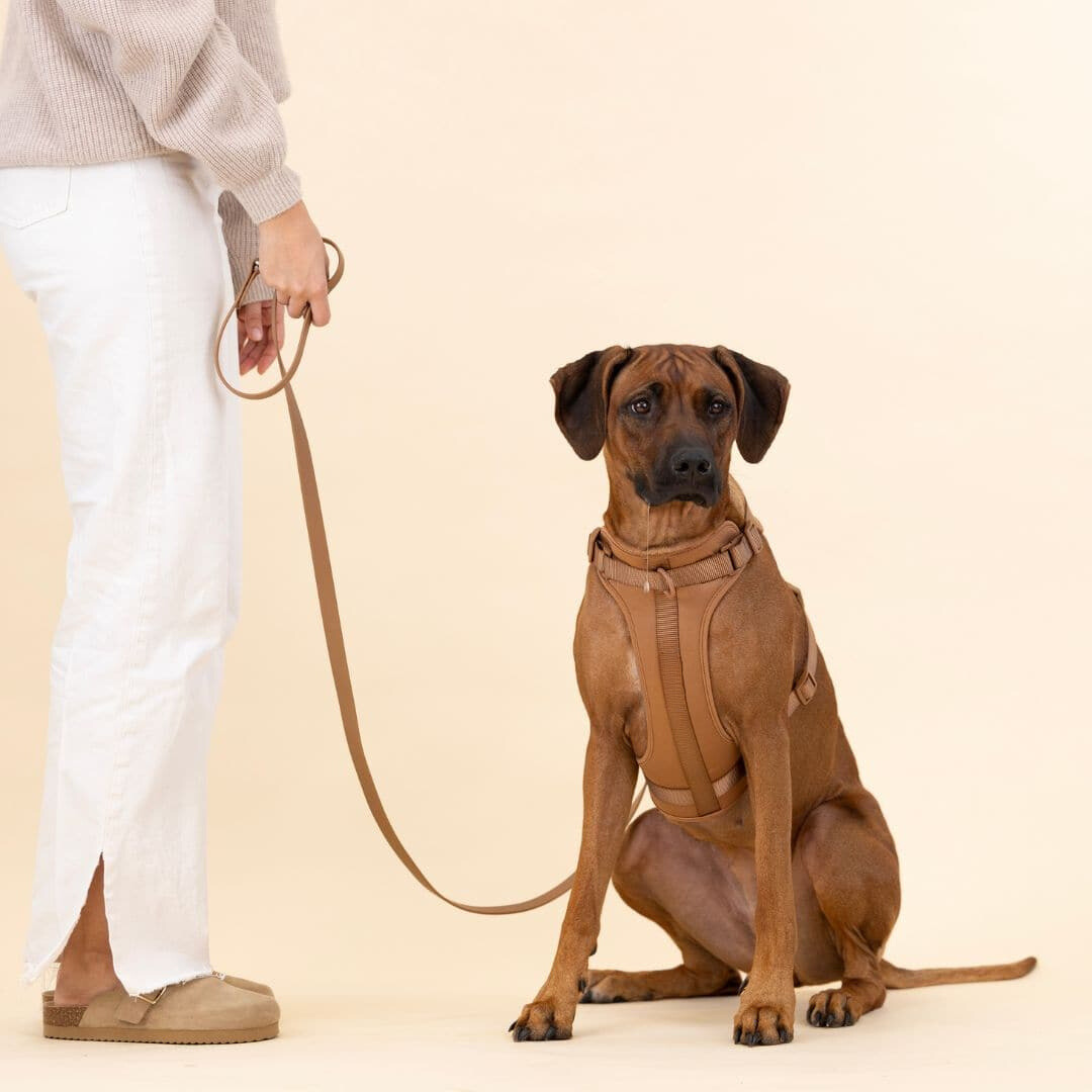 Melzano Dog Harness | Harness Walking Set (Including Leash and Poop Bag Holder)