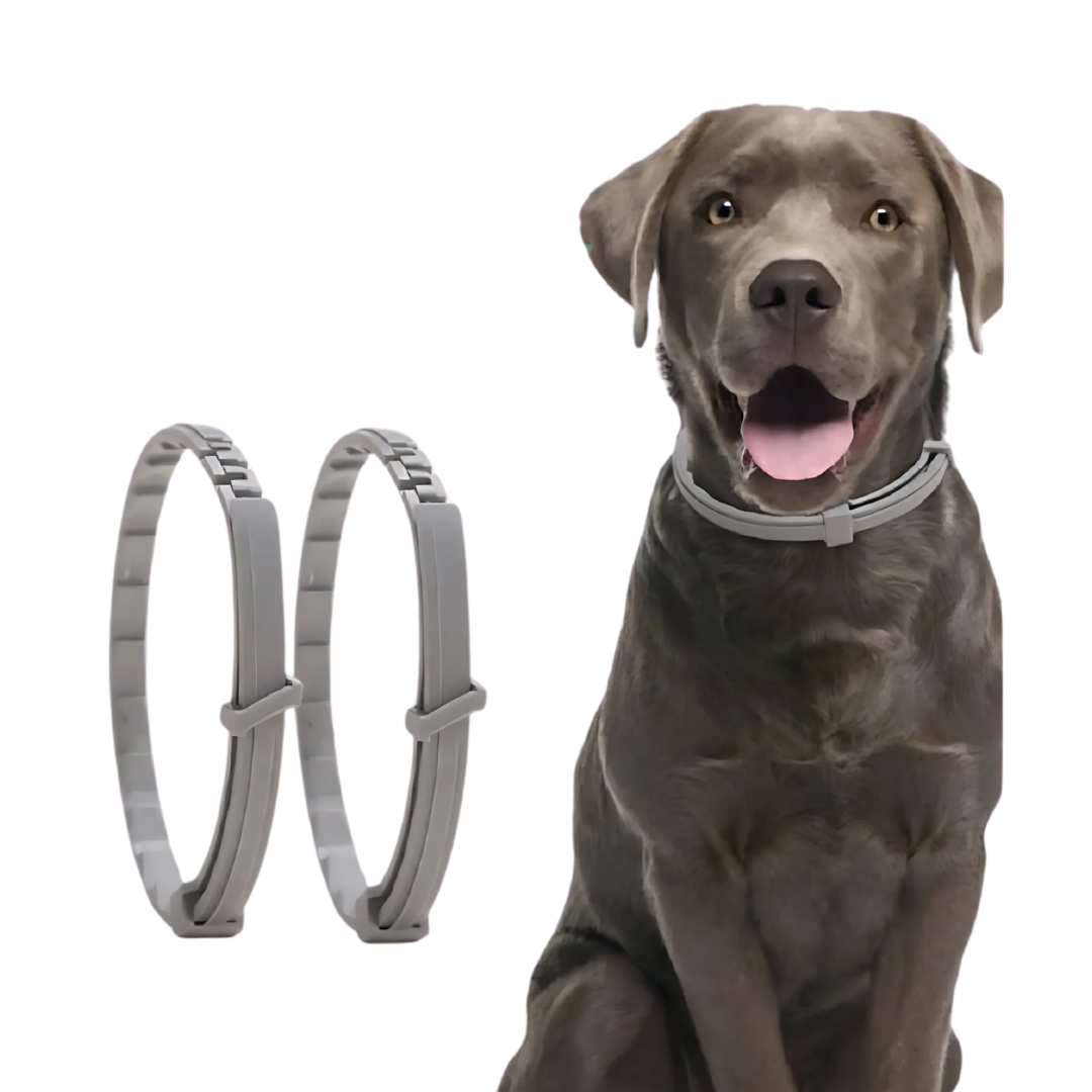 Collar per a gos i gat – VitaPaw | Ajustable i impermeable sense química