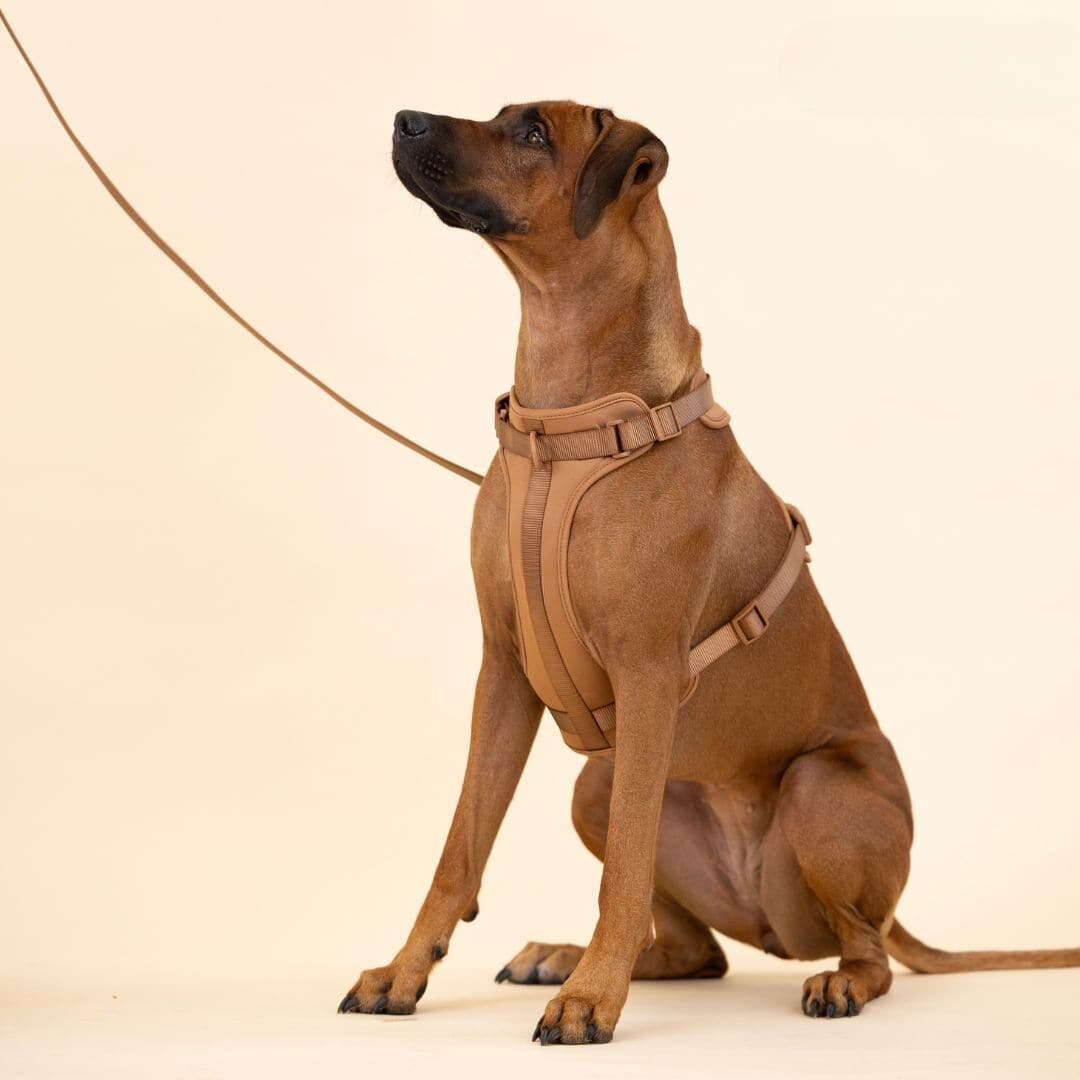 Melzano Dog Harness | Harness Walking Set (Including Leash and Poop Bag Holder)