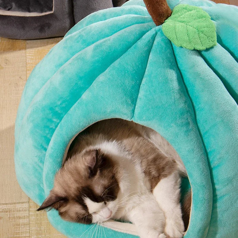 3D Pompoen Kattenhuis met Antislip Bodem en Verwijderbare Mat voor Katten en Kleine Honden 2