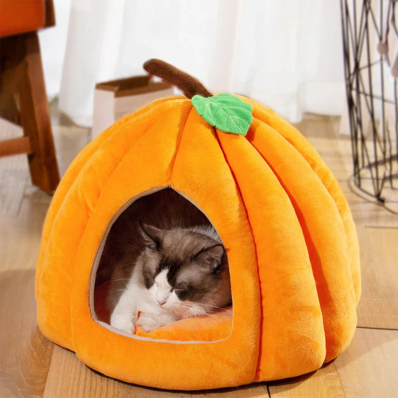 3D Pompoen Kattenhuis met Antislip Bodem en Verwijderbare Mat voor Katten en Kleine Honden 4