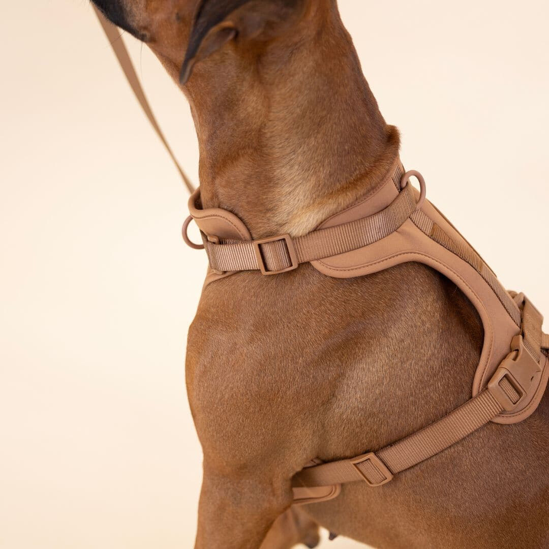 Melzano Dog Harness | Harness Walking Set (Including Leash and Poop Bag Holder)