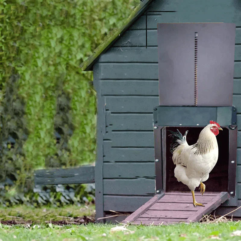 Melzano Automatic Chicken Coop Door