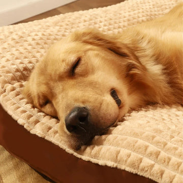 ComfyCanine Hondenbed – Luxe Comfort & Stevige Ondersteuning