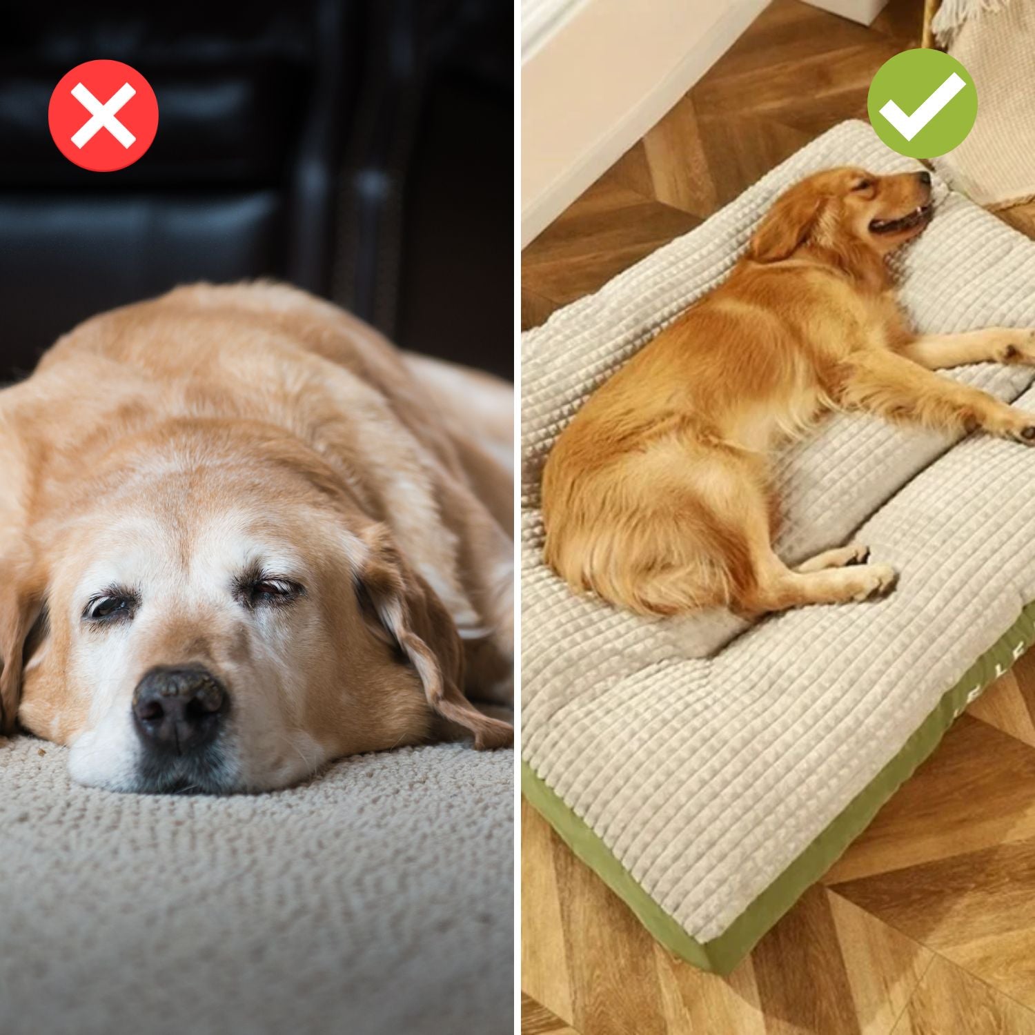 ComfyCanine Llitet per a gossos – Comfort de luxe i suport ferm
