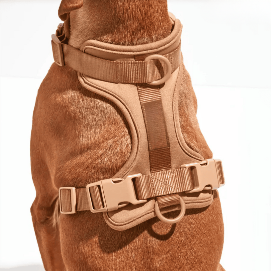 Melzano Dog Harness | Harness Walking Set (Including Leash and Poop Bag Holder)