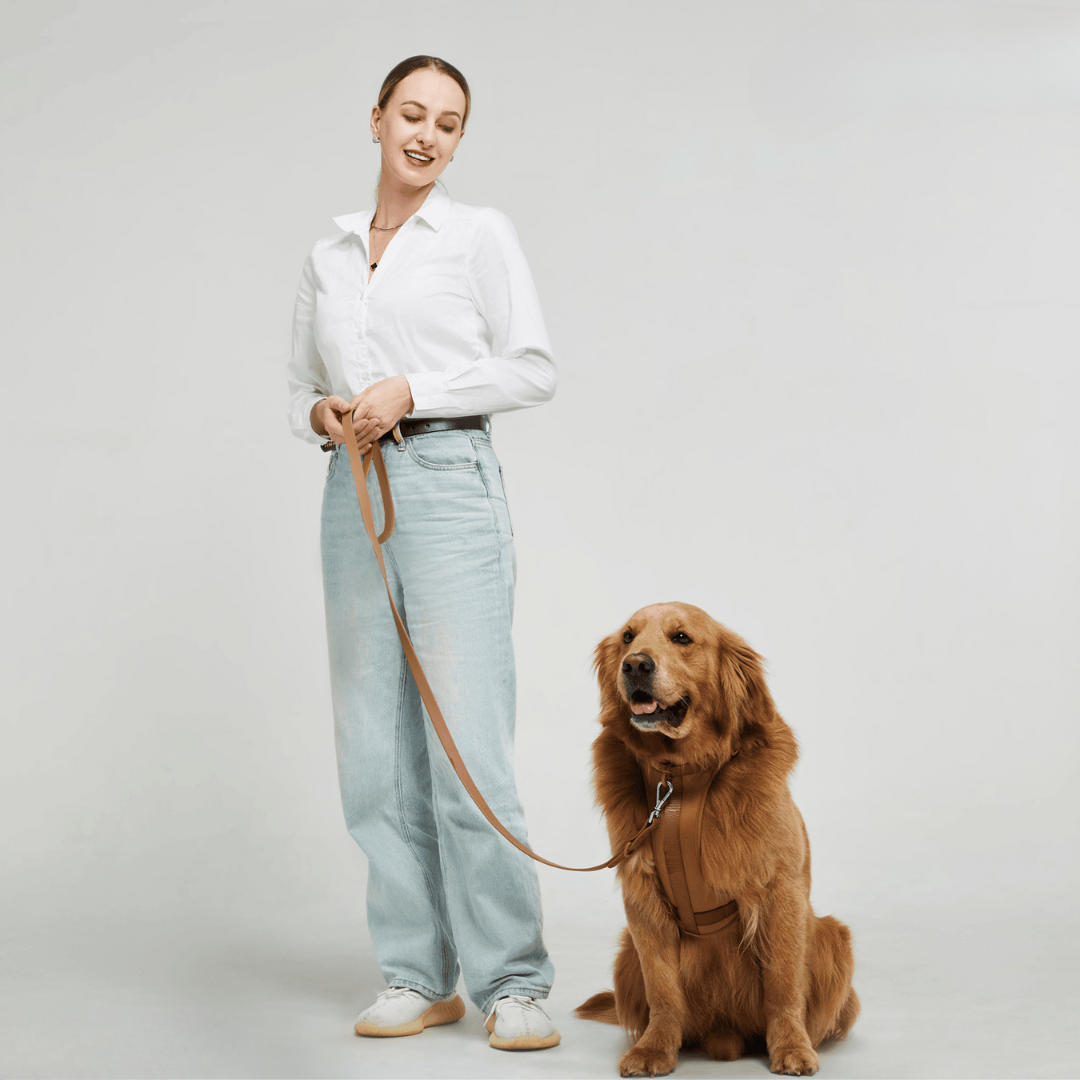 Melzano Dog Harness | Harness Walking Set (Including Leash and Poop Bag Holder)