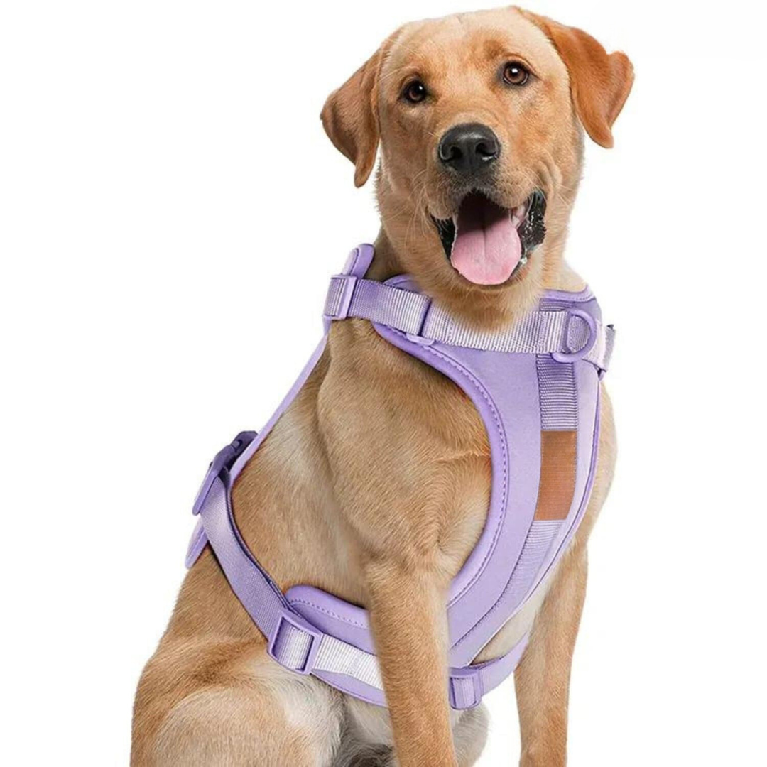 Melzano Dog Harness | Harness Walking Set (Including Leash and Poop Bag Holder)