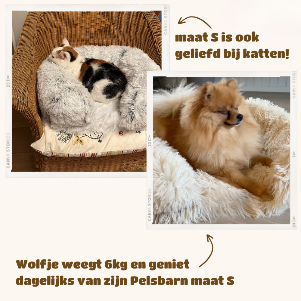 Melzano SupportivePaws | Cama ortopédica para perros para más soporte