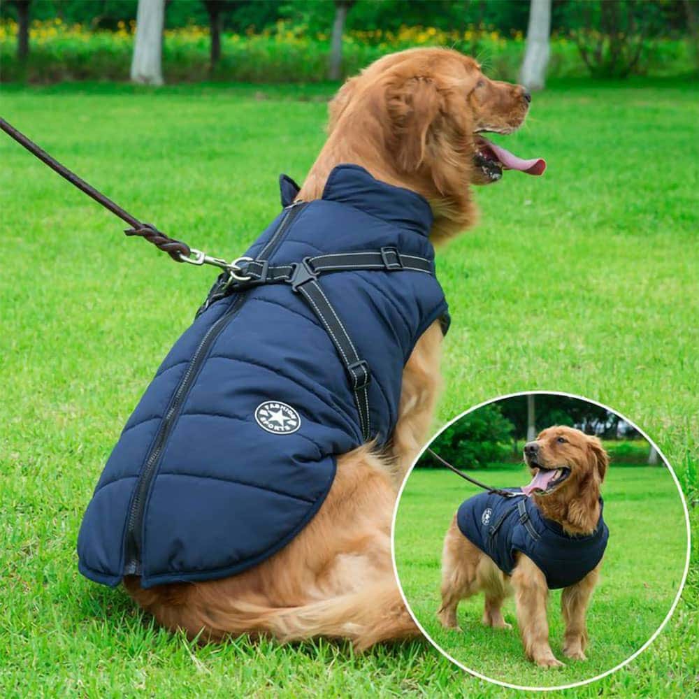 Melzano Chaqueta Impermeable para Perros con Arnés