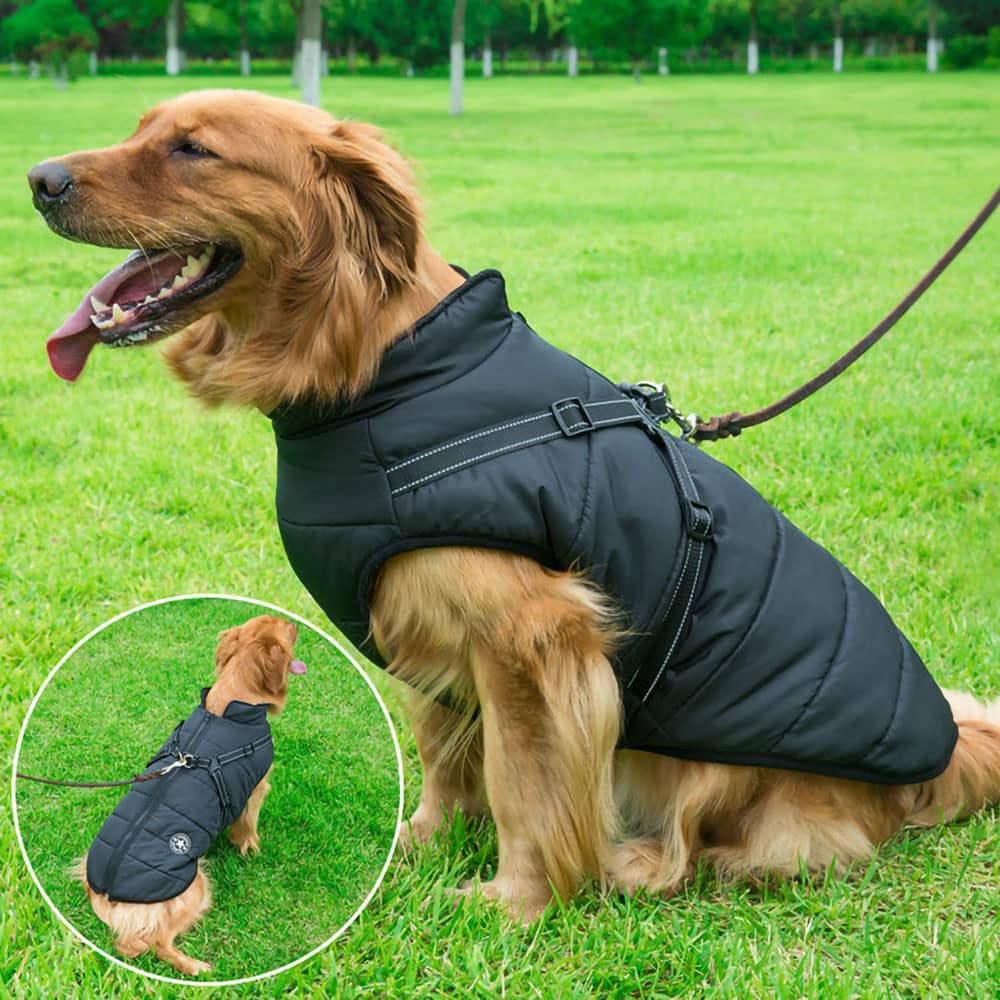 Melzano Chaqueta Impermeable para Perros con Arnés