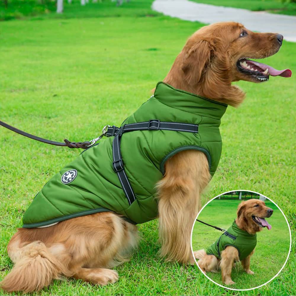 Melzano Chaqueta Impermeable para Perros con Arnés