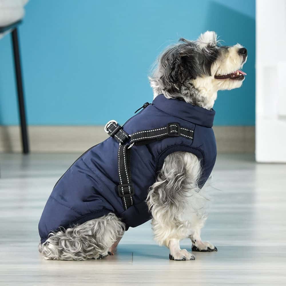 Melzano Chaqueta Impermeable para Perros con Arnés