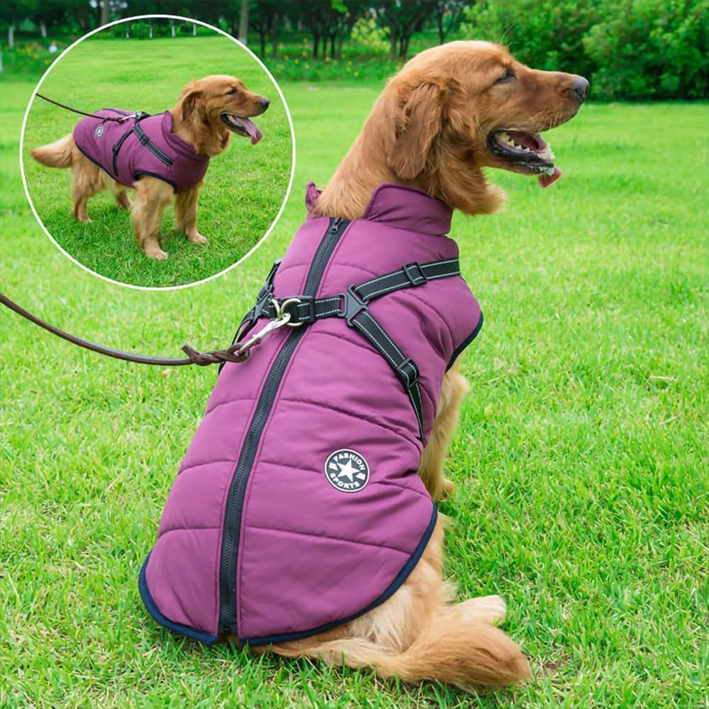 Melzano Chaqueta Impermeable para Perros con Arnés