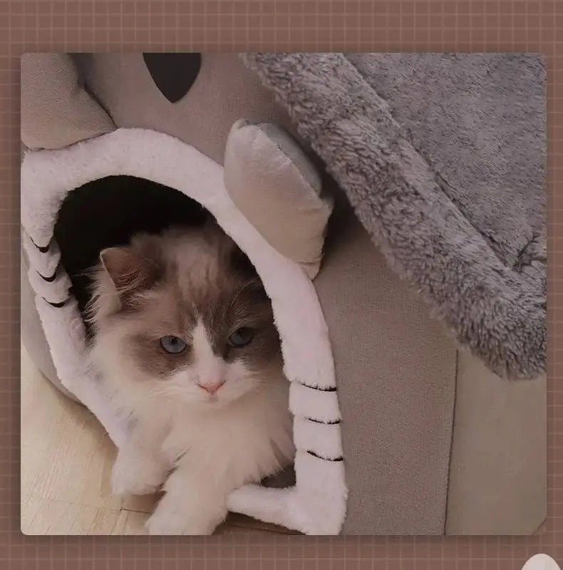 Acollidor refugi per a animals | Casa còmoda per a cada temporada