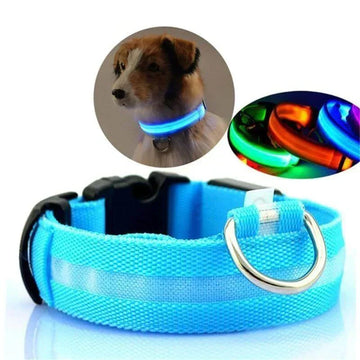 Melzano GlowPets | LED Halsband