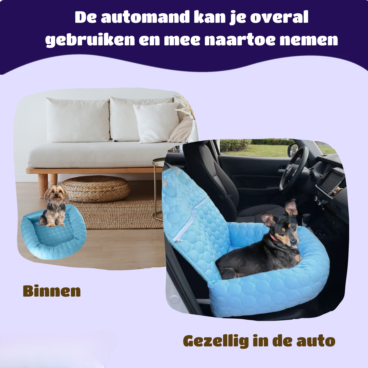 Melzano Koelmand | Koelmand voor in de auto (4 keer effectiever)