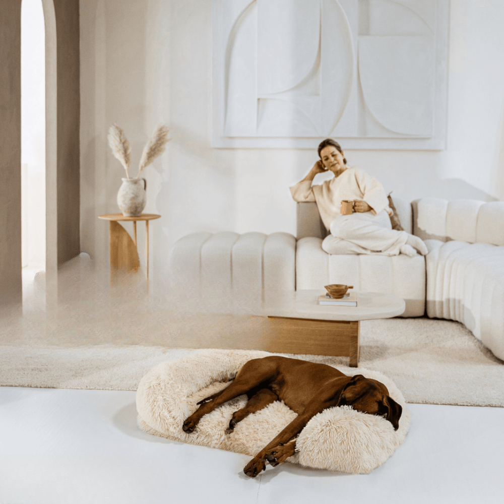 Melzano SupportivePaws | Orthopedisch Hondenbed voor meer support