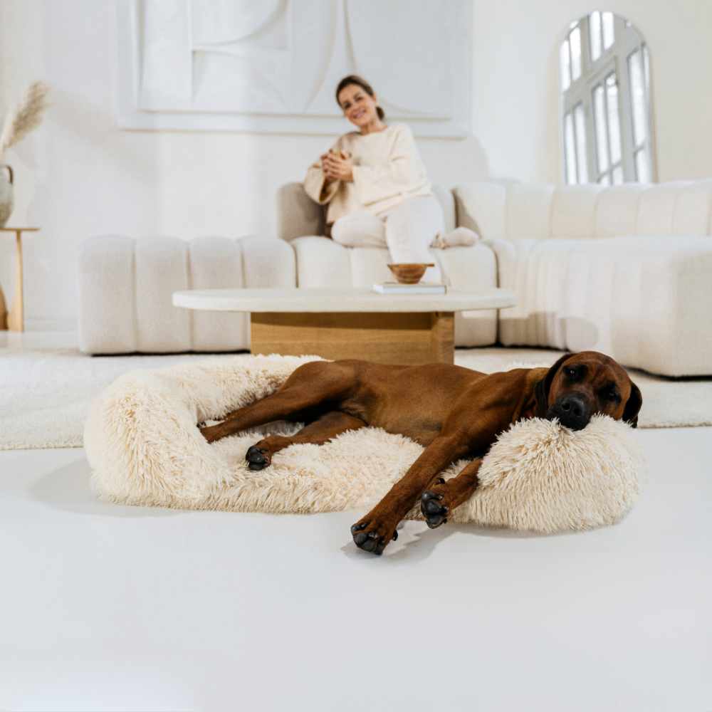 Melzano SupportivePaws | Orthopedisch Hondenbed voor meer support