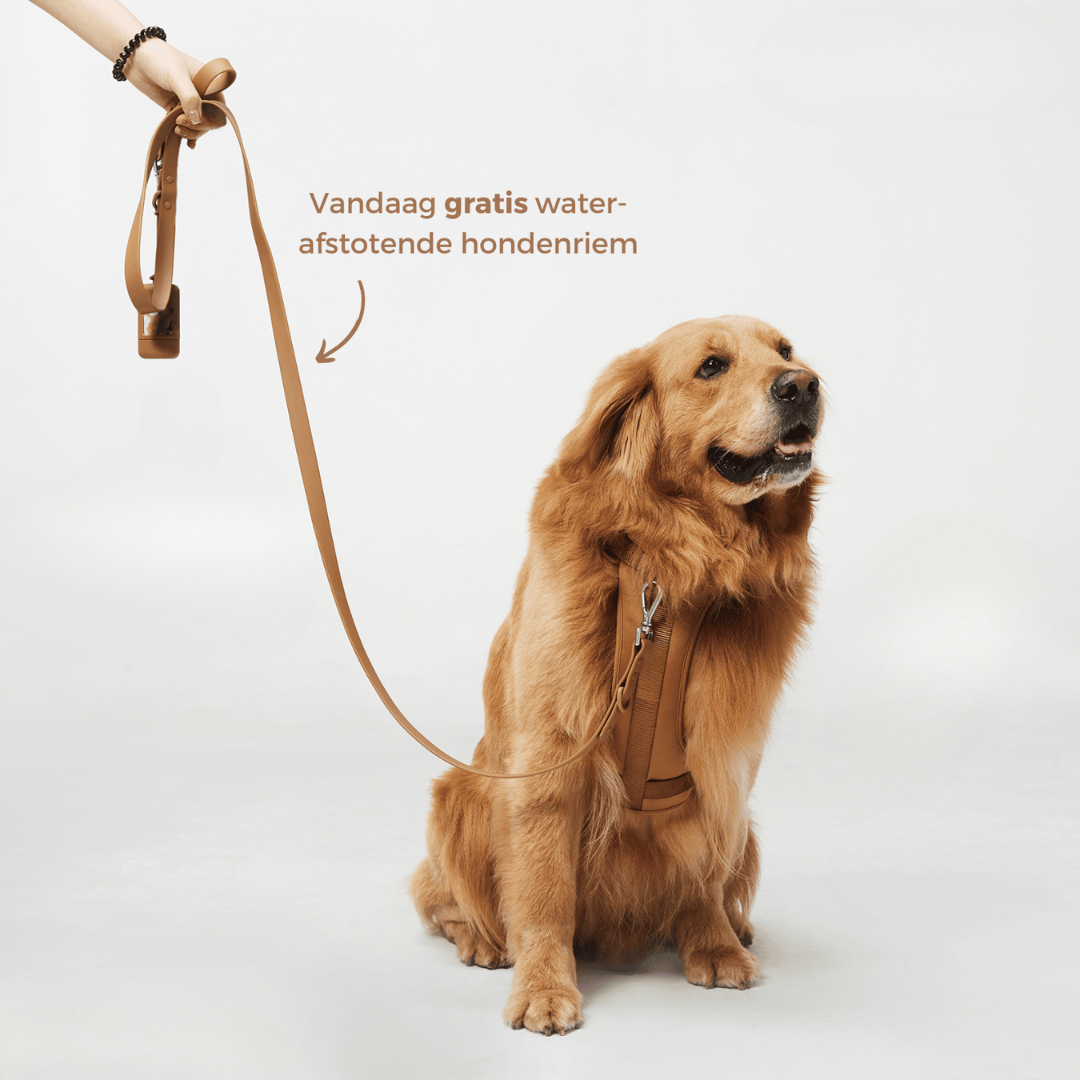 Melzano Hondentuigje | Harnas Wandel Set (Inclusief Riem en Poepzakjes Drager)