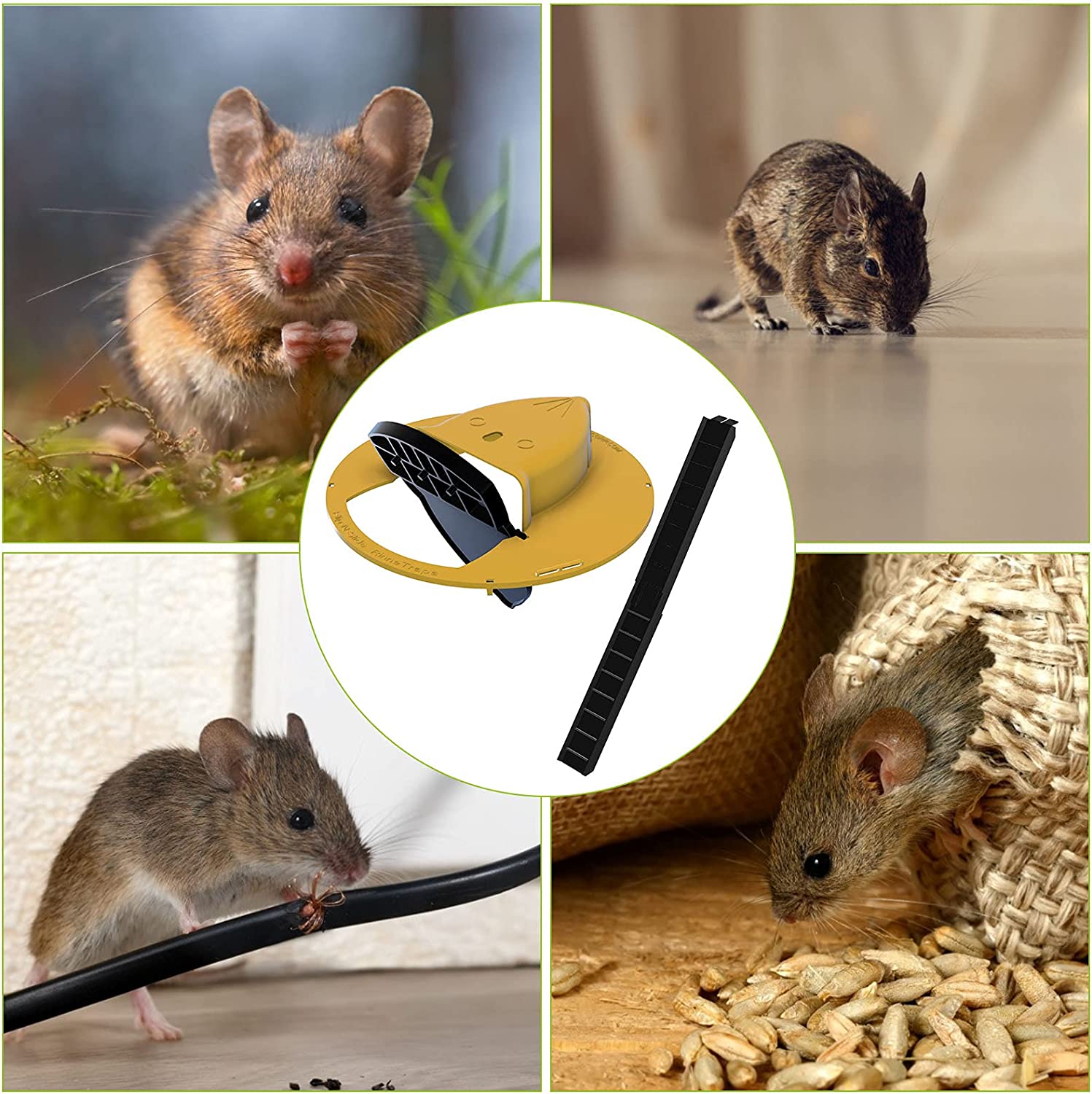 Rodento Muizenval Emmerdeksel – Humaan, Herbruikbaar & Zonder Gif