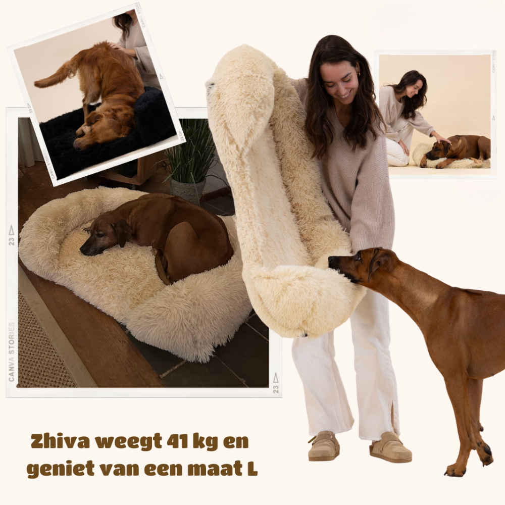 Melzano SupportivePaws | Orthopedisch Hondenbed voor meer support