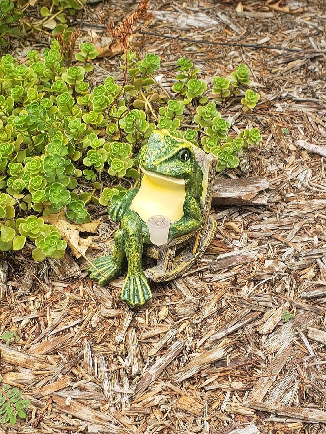 Statue de Grenouille Lumineuse pour Jardin - Décoration Extérieure Magique