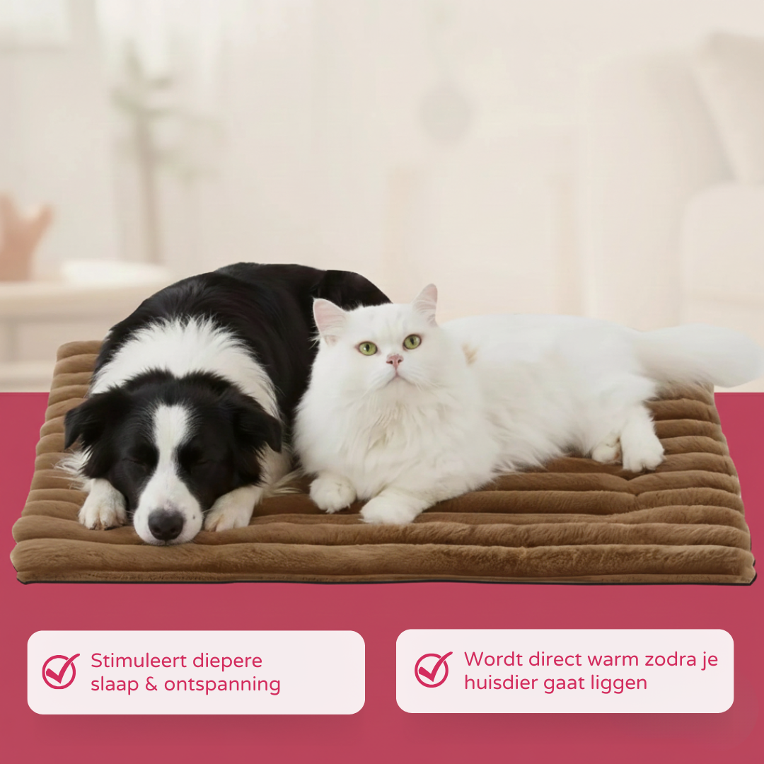 Despídete de los suelos fríos: ofrece a tu mascota un calor delicioso y natural