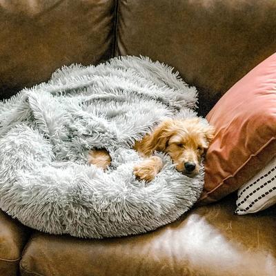 Cojín suave para perros "Wolke 7" - El original para un sueño relajante