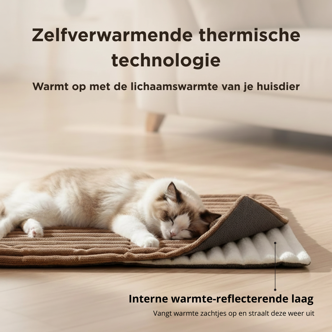 Despídete de los suelos fríos: ofrece a tu mascota un calor delicioso y natural