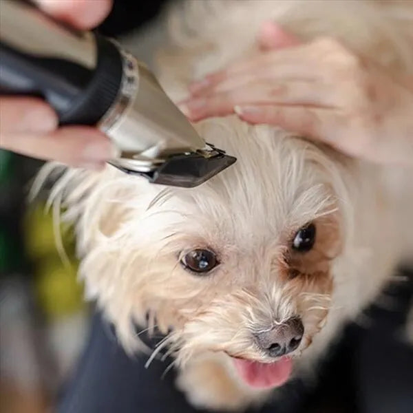 SilentPaws – Draadloze, stille vacht trimmer set – voor honden en huisdieren