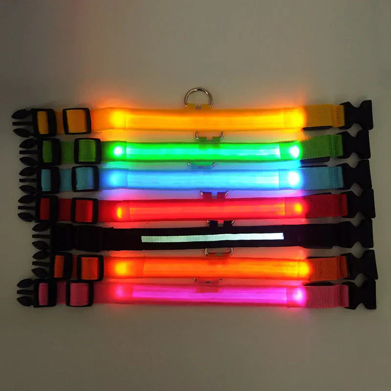 Melzano GlowPets | LED Halsband