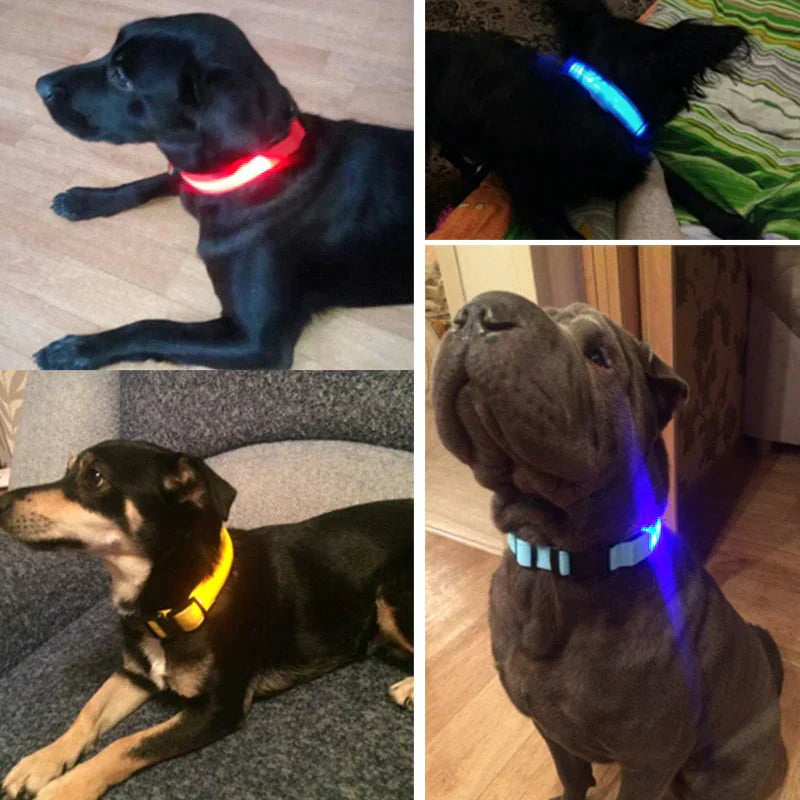 Melzano GlowPets | LED Halsband