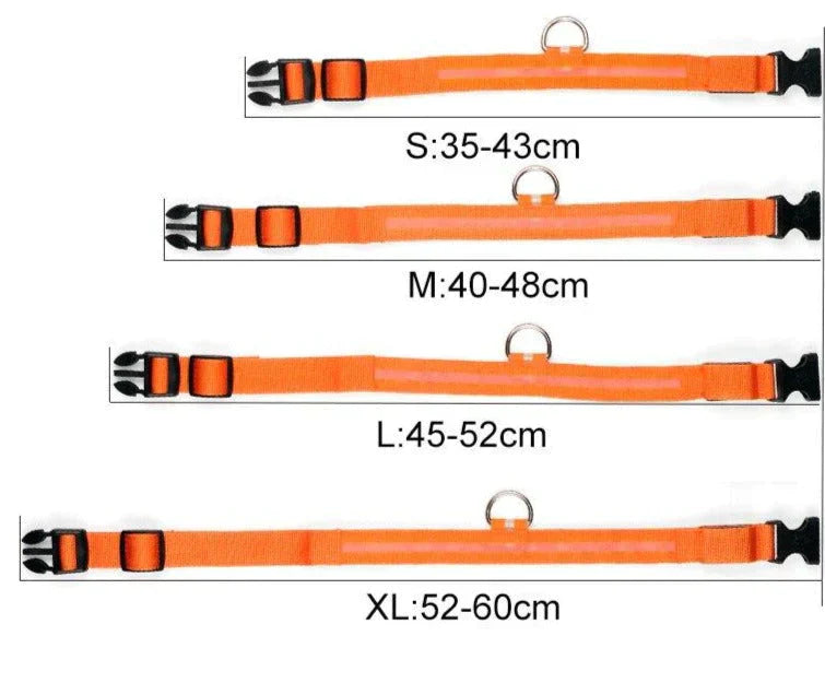 Melzano GlowPets | LED Halsband