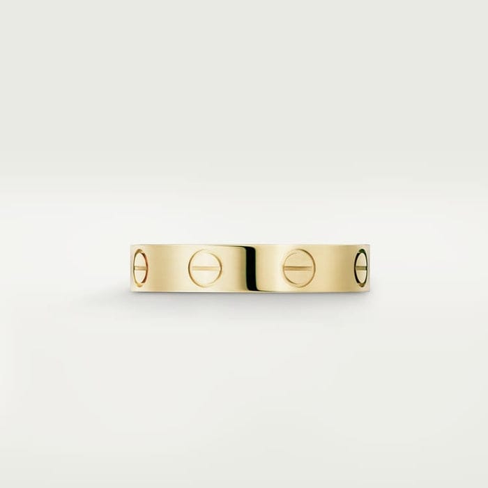 Love Ring – Elegante Ring met Schroefmotief in Goud & Zilver