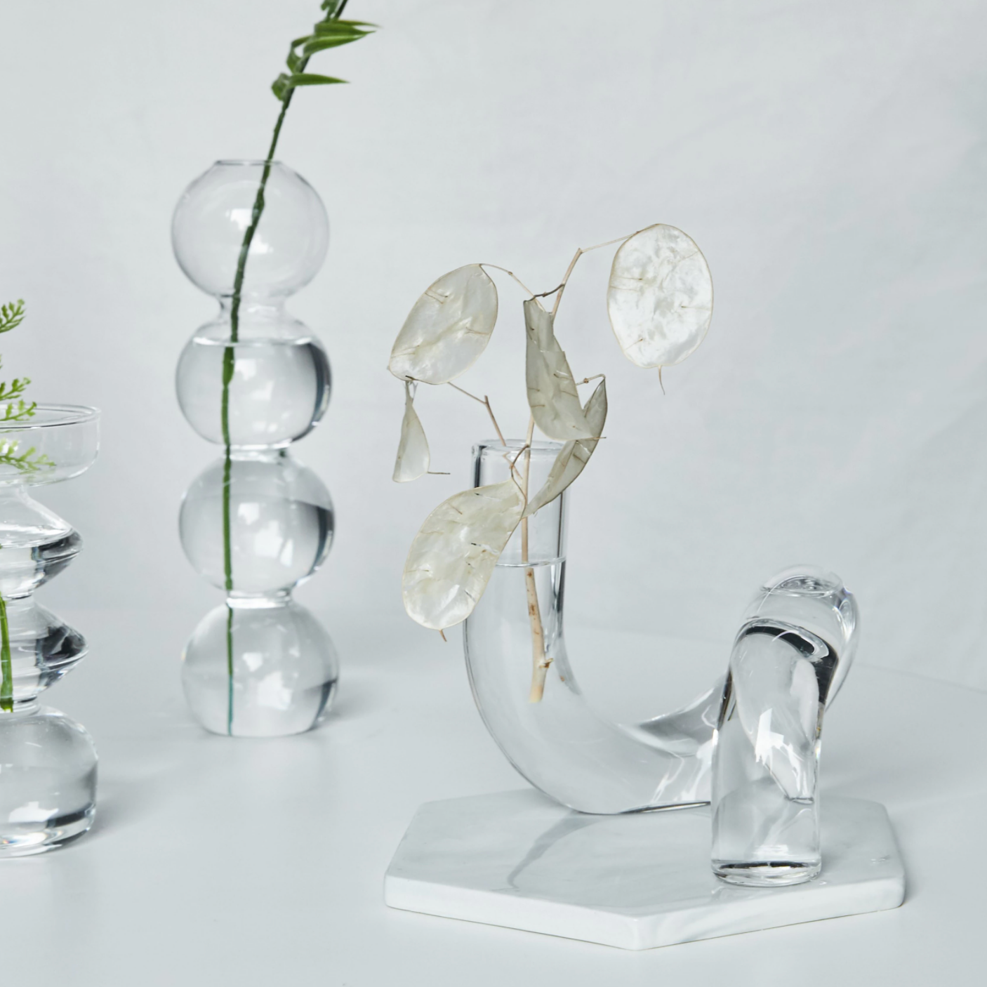 Loopora – Glass Hydroponic Vase & Candlestick in Loop Design