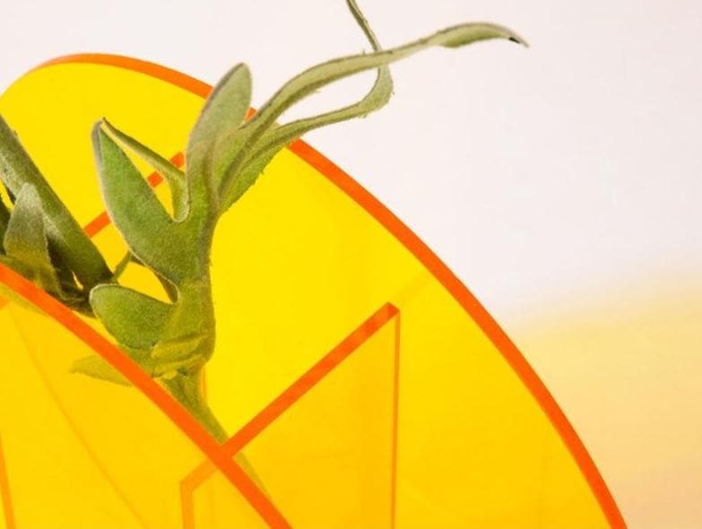 Acrilea – Jarrón acrílico transparente, colorido y versátil para decoración y escritorio