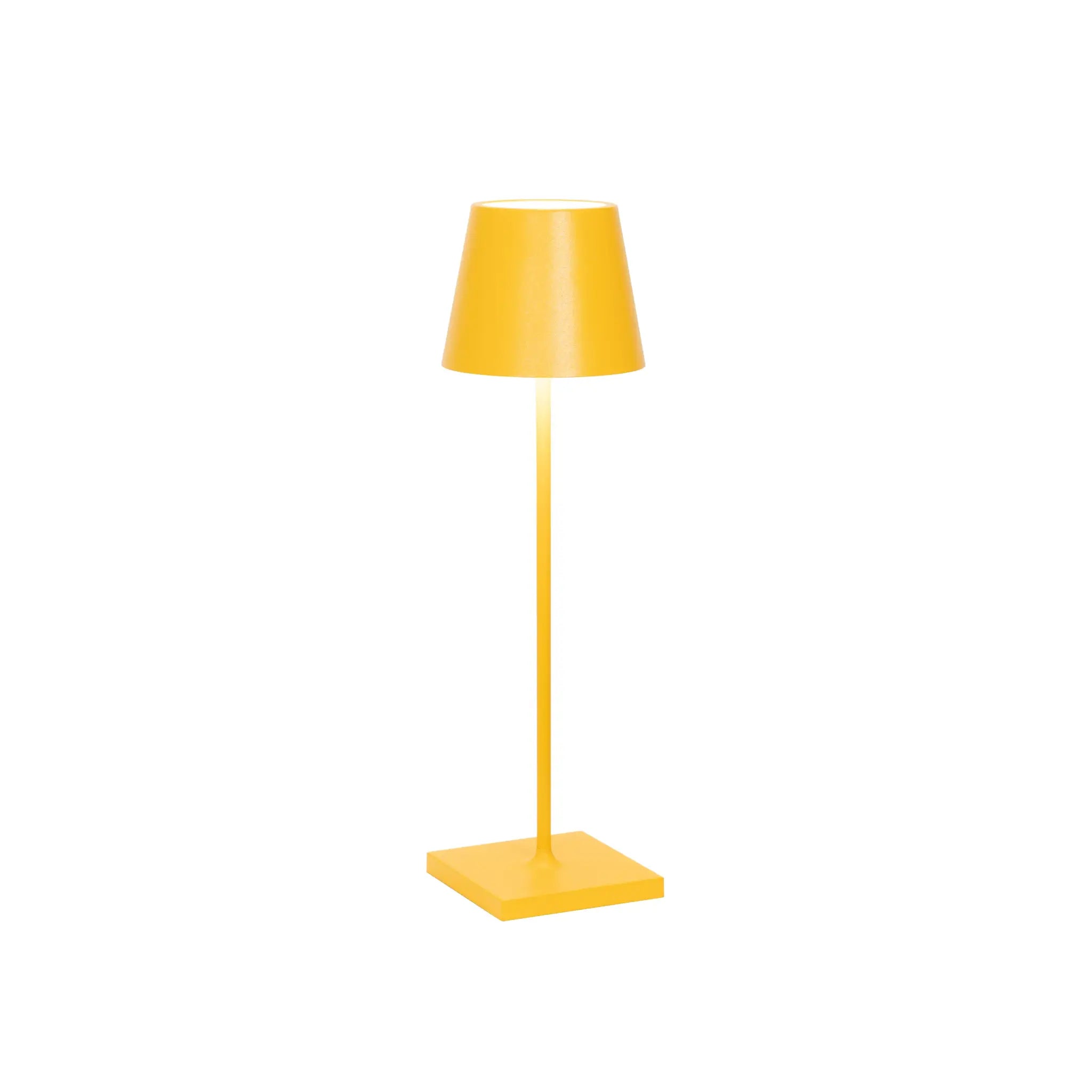 Poldina Pro Baladeuses et nomades LED