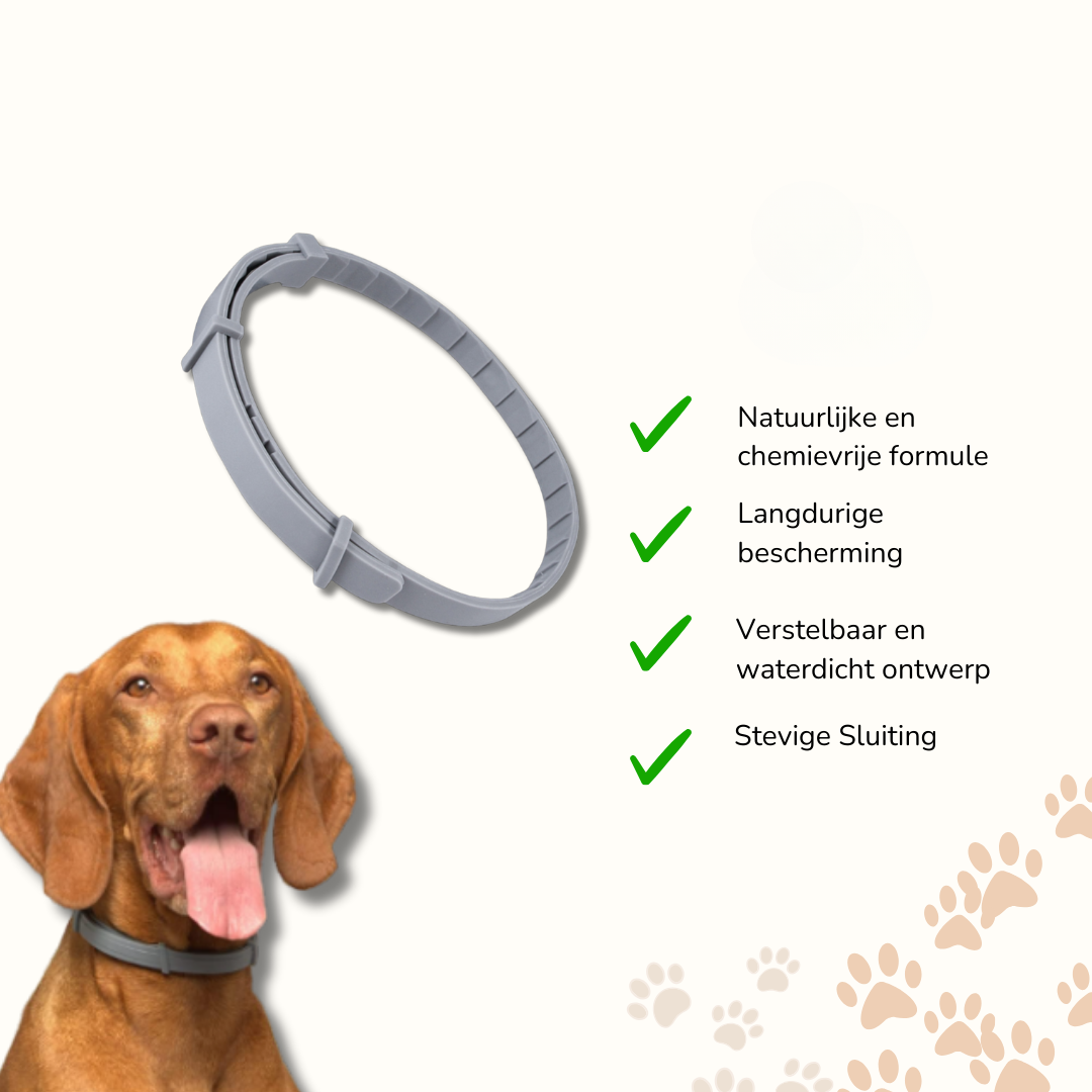 Tekenhalsband voor Hond & Kat – VitaPaw | Verstelbaar & Waterdicht zonder Chemie