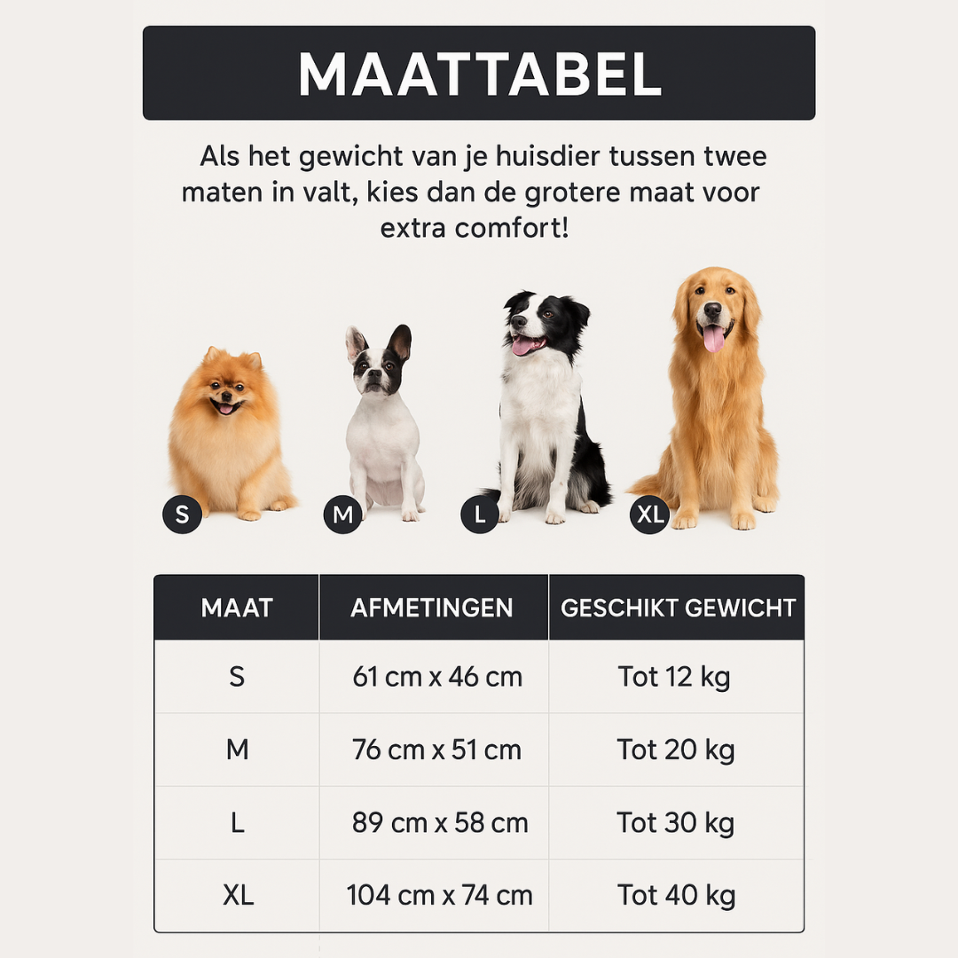Despídete de los suelos fríos: ofrece a tu mascota un calor delicioso y natural