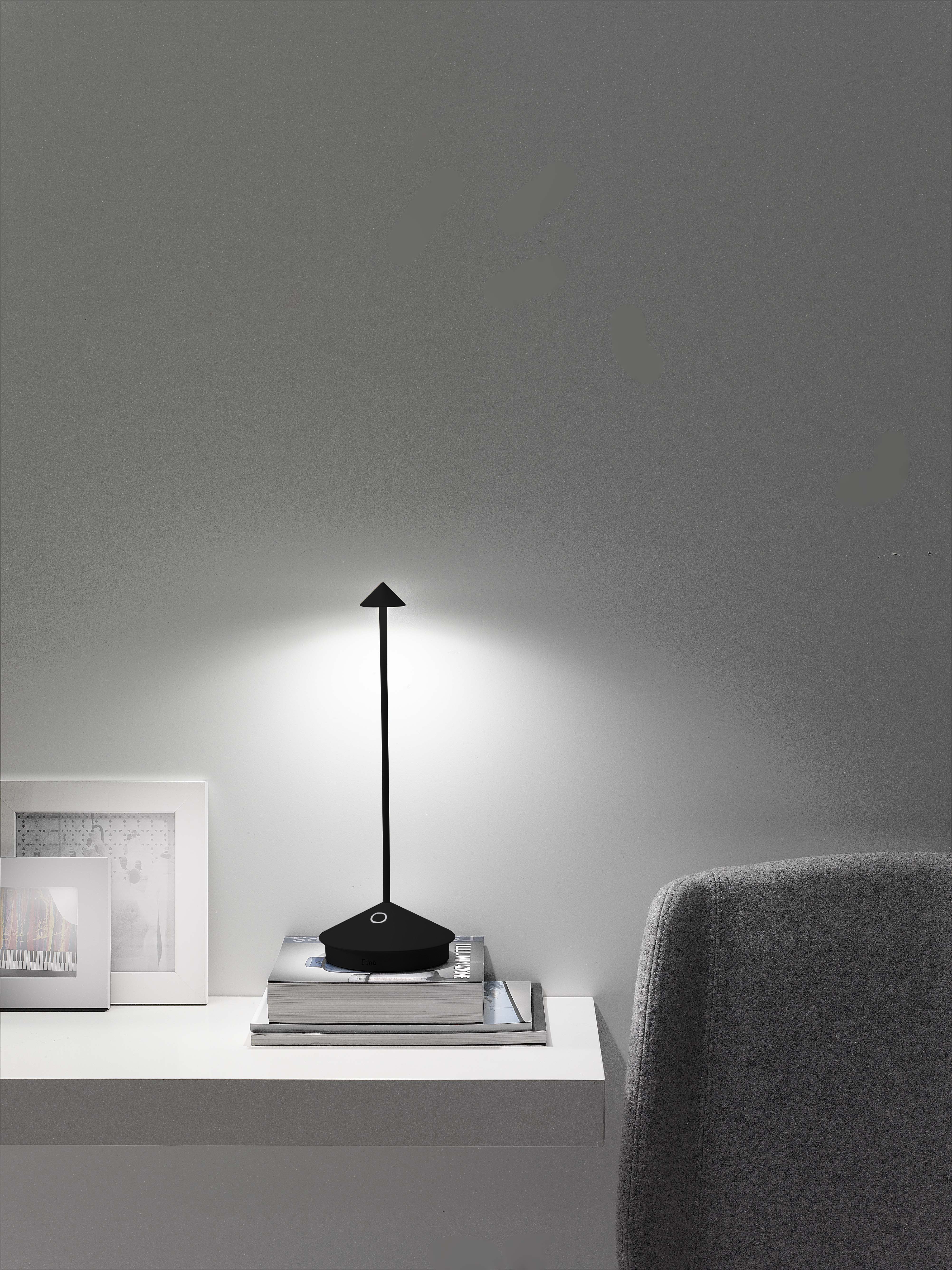 Pina Pro LED handheld lamps and mobile lamps