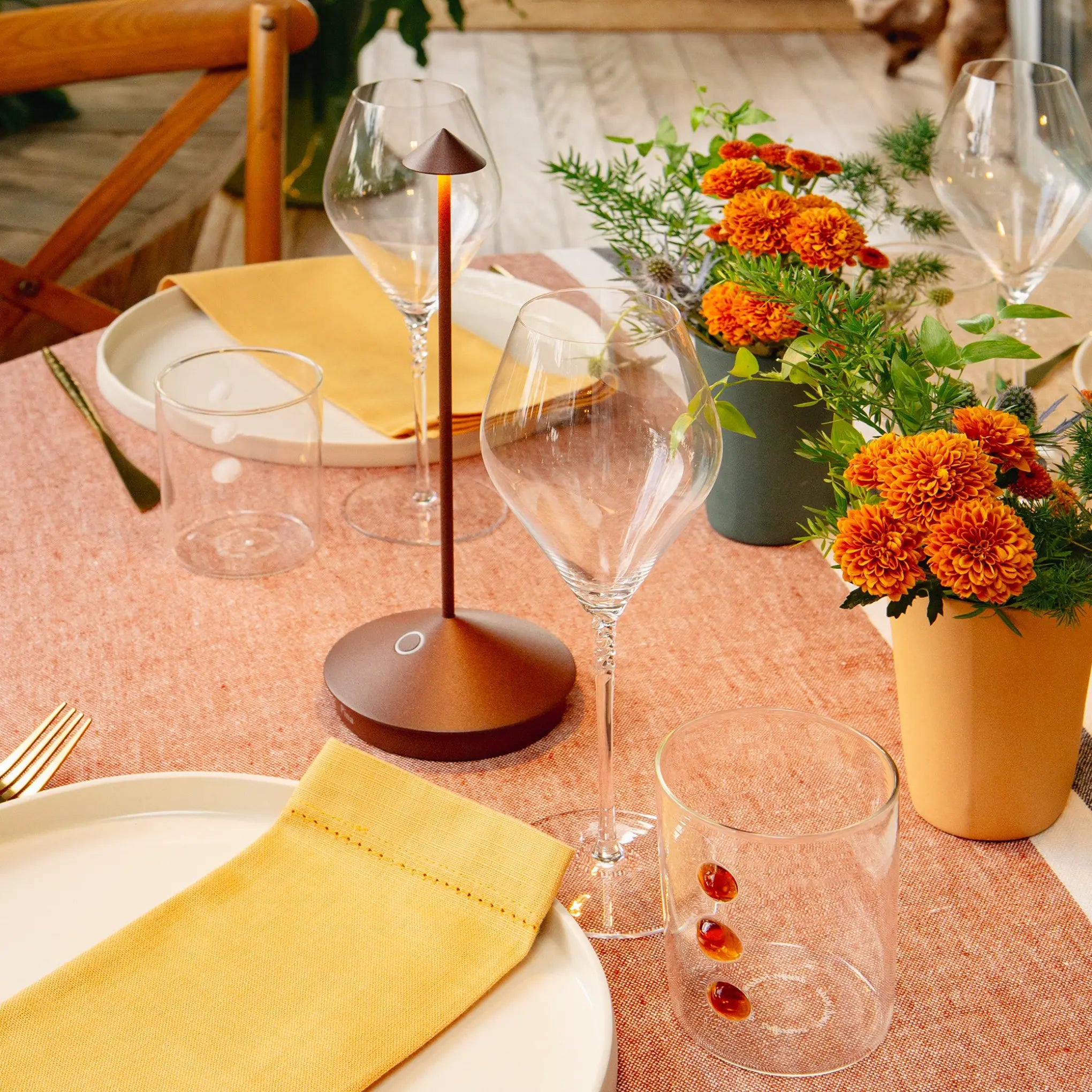 Pina Pro LED handheld lamps and mobile lamps