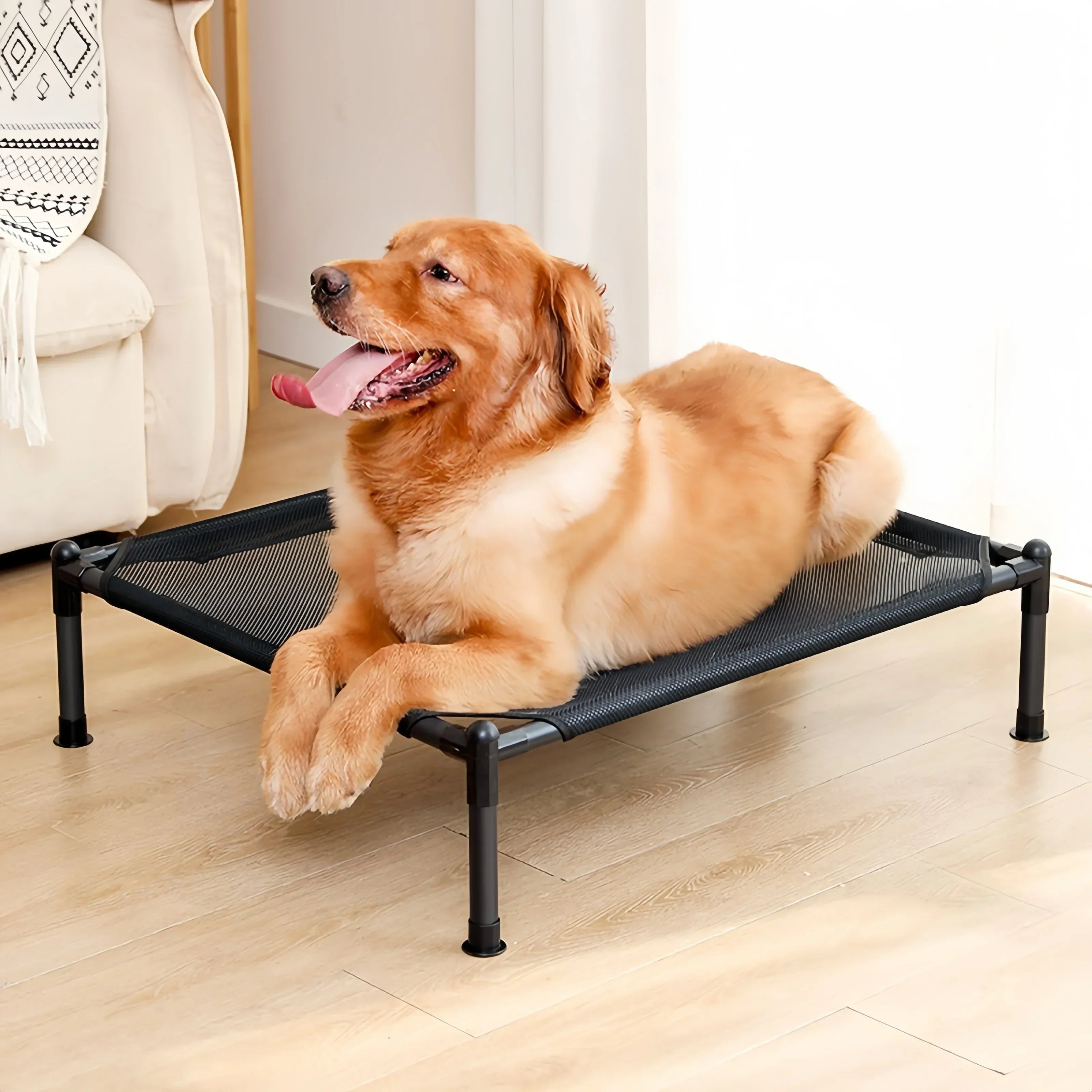 Elevated Foldable Pet Bed – Portable Bed for Cats & Dogs