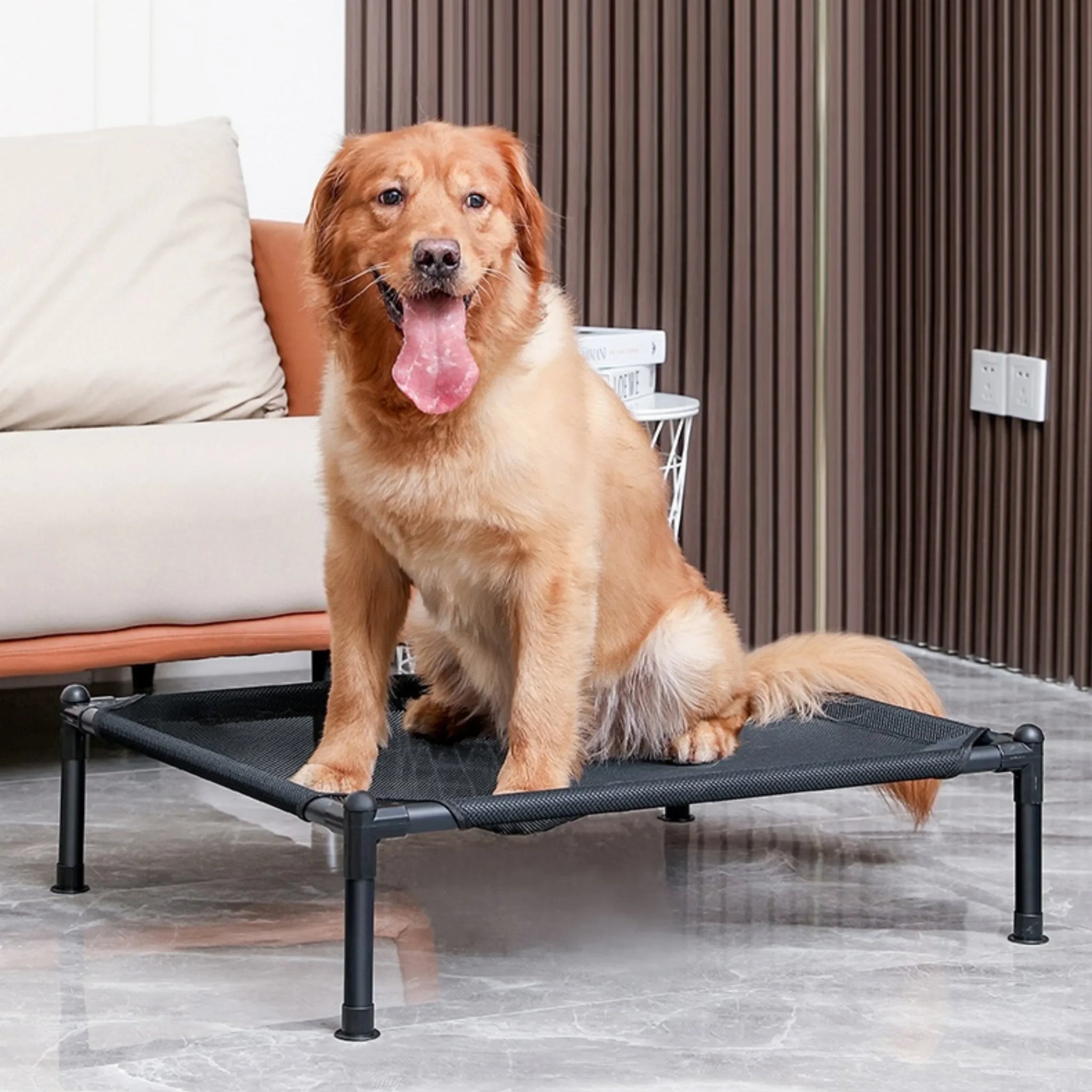 Elevated Foldable Pet Bed – Portable Bed for Cats & Dogs