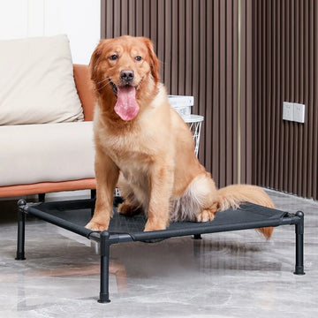 Elevated Foldable Pet Bed – Portable Bed for Cats & Dogs