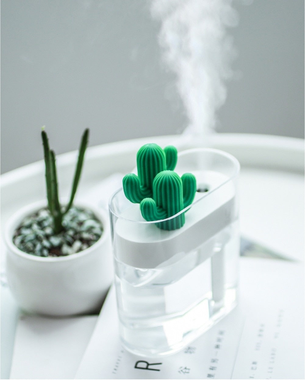 Aromora – Ultrasone Kaktus Aromadiffuser met LED-licht 160 ml